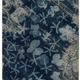 Original Cyanotype on Paper 15 x 22"