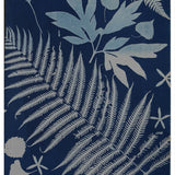 Original Cyanotype on Paper 15 x 22"