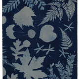 Original Cyanotype on Paper 15 x 22"