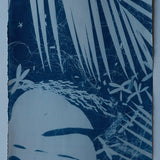 Original Cyanotype on Paper 11x30"