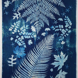 Cyanotype on Fabric