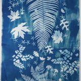 Cyanotype on Fabric