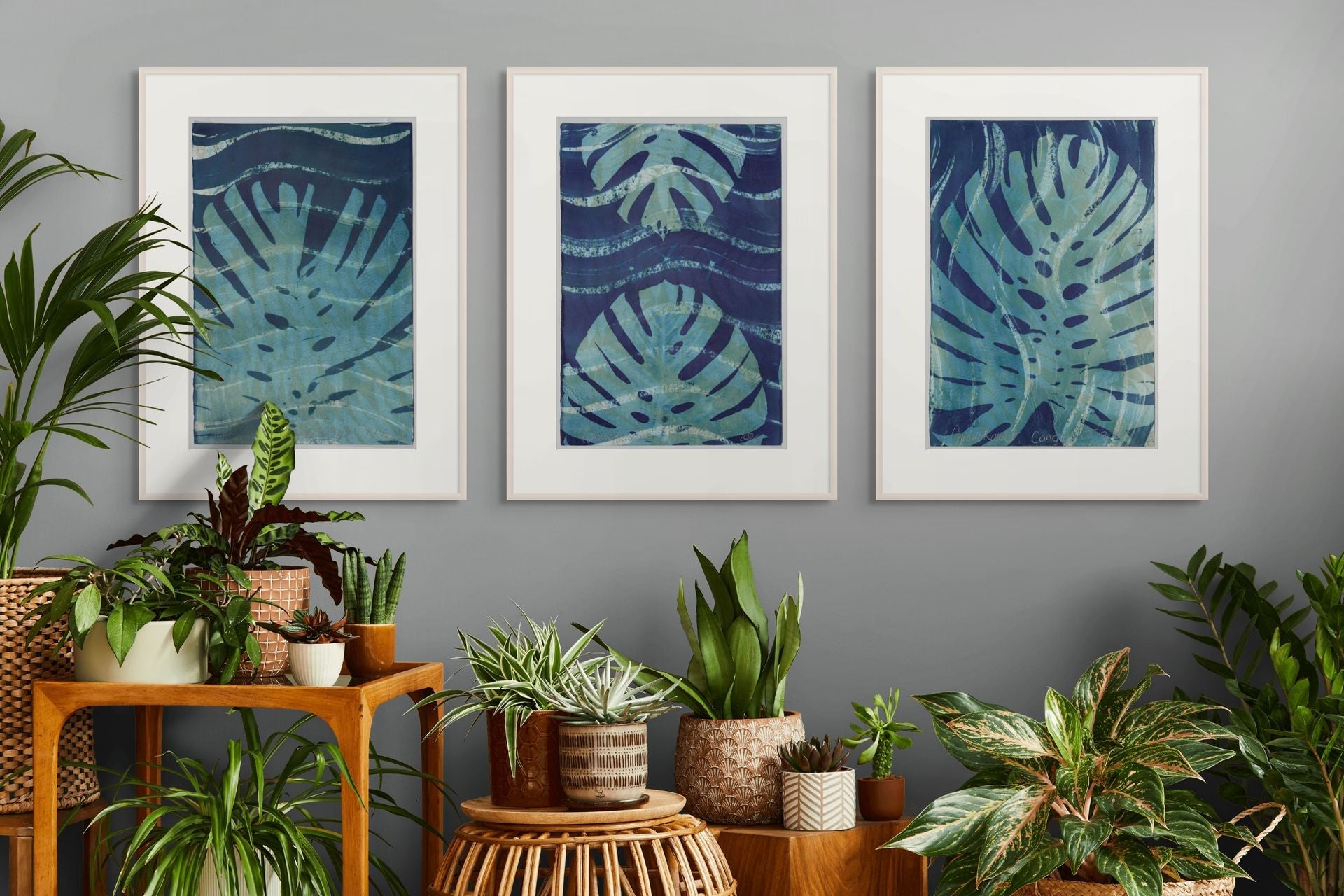 Tropical collection
