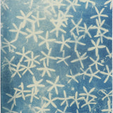 Original Cyanotype on Paper 15x22"