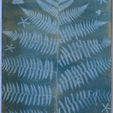Original Cyanotype on Paper 22 x 30"