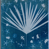 Original Cyanotype on Paper 22 x 30"