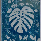 Original Cyanotype on Paper 22 x 30"