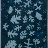 Original Cyanotype on Paper 22 x 30"