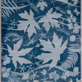 Original Cyanotype on Paper 22 x 30"