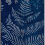 Original Cyanotype on Paper 22 x 30"