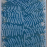 Original Cyanotype on Paper 22 x 30"