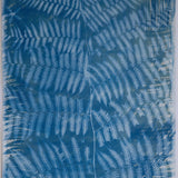 Original Cyanotype on Paper 22 x 30"