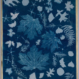 Original Cyanotype on Paper 22 x 30"