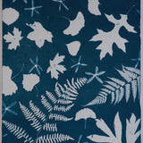 Original Cyanotype on Paper 15 x 22"