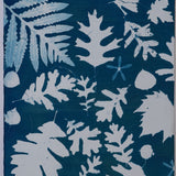 Original Cyanotype on Paper 15 x 22"