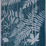 Original Cyanotype on Paper 15 x 22"
