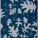 Original Cyanotype on Paper 15 x 22"
