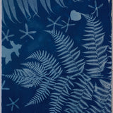Original Cyanotype on Paper 15 x 22"