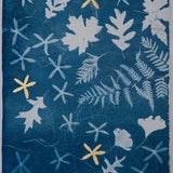 Original Cyanotype on Paper 15 x 22"