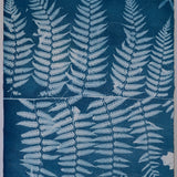 Original Cyanotype on Paper 15 x 22"