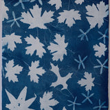 Original Cyanotype on Paper 15 x 22"