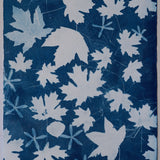 Original Cyanotype on Paper 15 x 22"