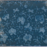Original Cyanotype on Paper 15 x 22"