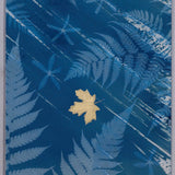 Original Cyanotype on Paper 11x30"