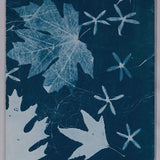 Original Cyanotype on Paper 11x30"
