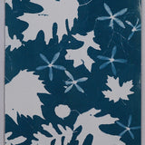 Original Cyanotype on Paper 11x30"