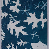Original Cyanotype on Paper 11x30"