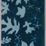 Original Cyanotype on Paper 11x30"