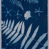 Original Cyanotype on Paper 11x30"