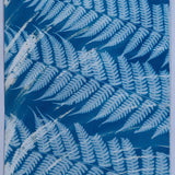 Original Cyanotype on Paper 11x30"