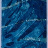 Original Cyanotype on Paper 11x30"