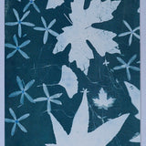 Original Cyanotype on Paper 11x30"