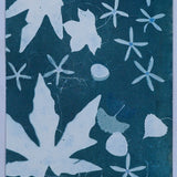 Original Cyanotype on Paper 11x30"