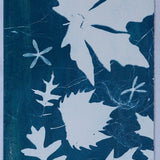 Original Cyanotype on Paper 11x30"