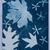 Original Cyanotype on Paper 11x30"