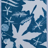 Original Cyanotype on Paper 11x30"