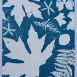Original Cyanotype on Paper 11x30"