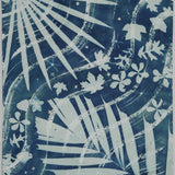 Original Cyanotype on Paper 22 x 30"