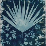 Original Cyanotype on Paper 22 x 30"