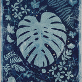 Original Cyanotype on Paper 22 x 30"
