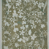 Original Cyanotype on Paper 22 x 30"