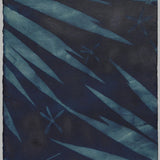 Original Cyanotype on Paper 11x30"