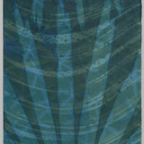 Original Cyanotype on Paper 11x30"