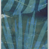 Original Cyanotype on Paper 11x30"