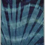 Original Cyanotype on Paper 11x30"