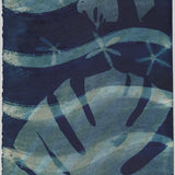 Original Cyanotype on Paper 11x30"